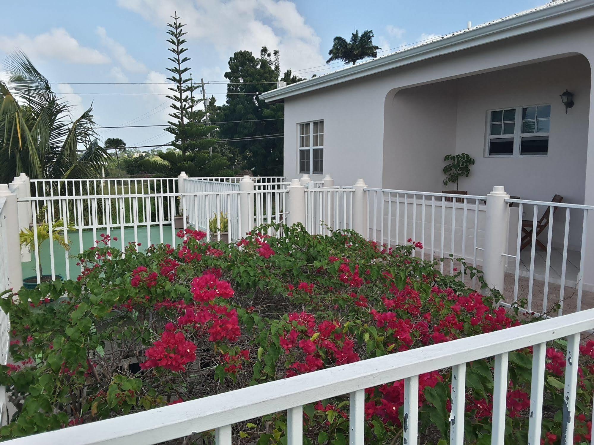 Caribbean Inn And Suites St. John's Ngoại thất bức ảnh